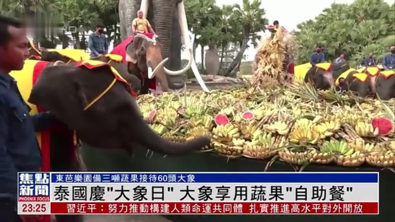 泰国庆“大象日”大象享用蔬果“自助餐”