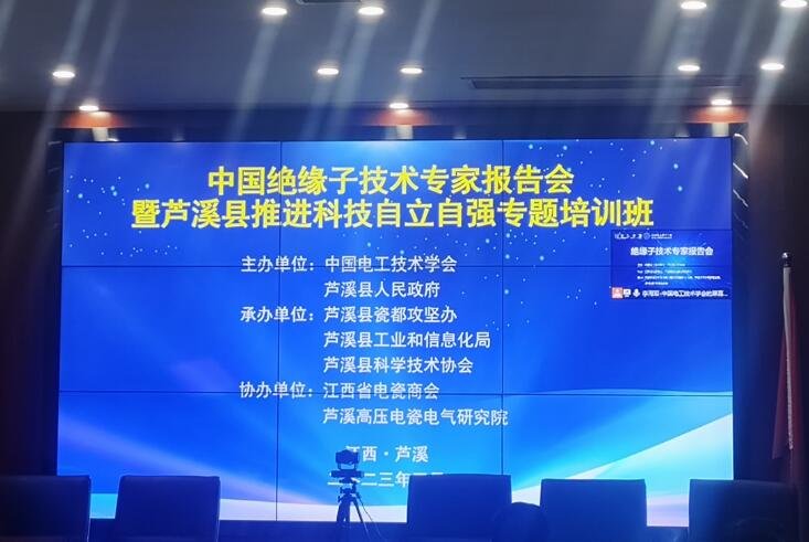 中国绝缘子技术专家报告会在芦溪县举办