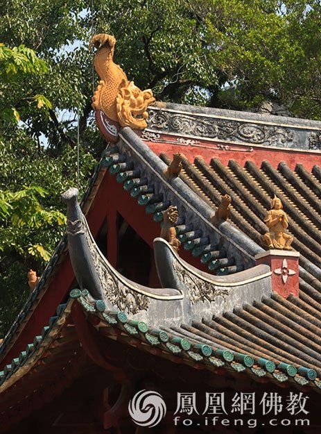 巡礼盛夏光孝:广州光孝寺陈韶辉参选作品|“云游寺院”摄影展