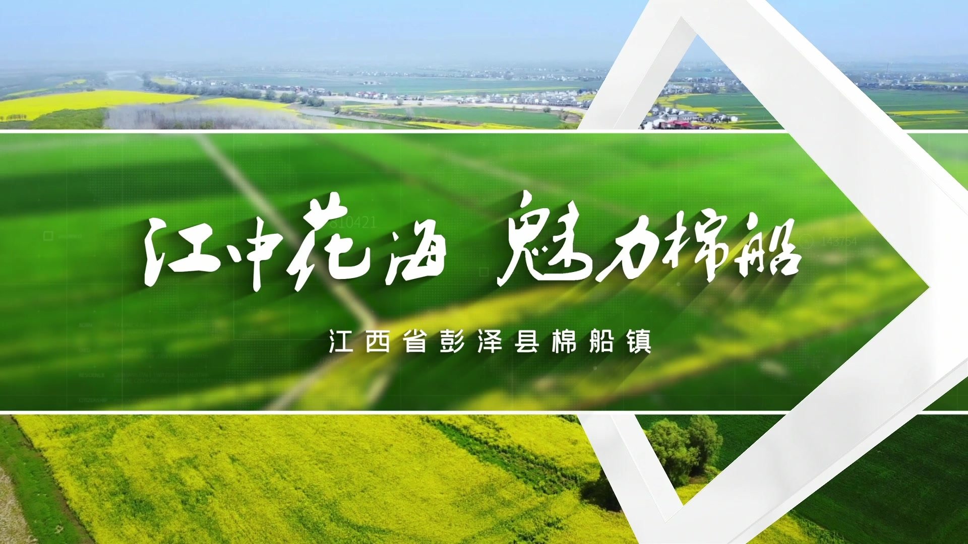 九江彭泽县：油菜花开春色美