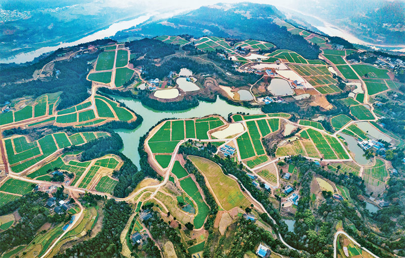 图为位于广纳镇的"优质粮油 青峪猪"现代农业园区(2023年1月5日摄).