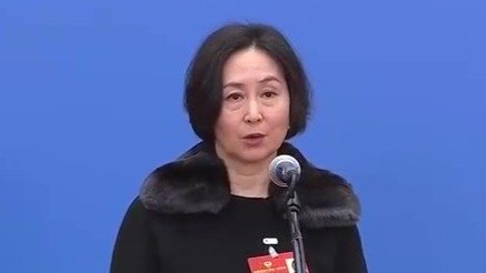 全国政协常委何超琼：粤港澳政府须具大局思维