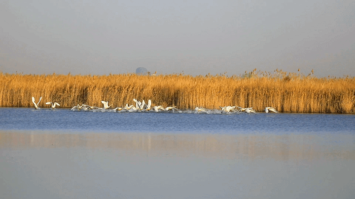 1678974770651_64131f323f35af186c5143af.gif