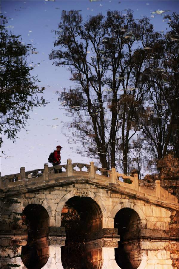 站在保定古莲花池回溯，“靴城”的“一片江南胜景”