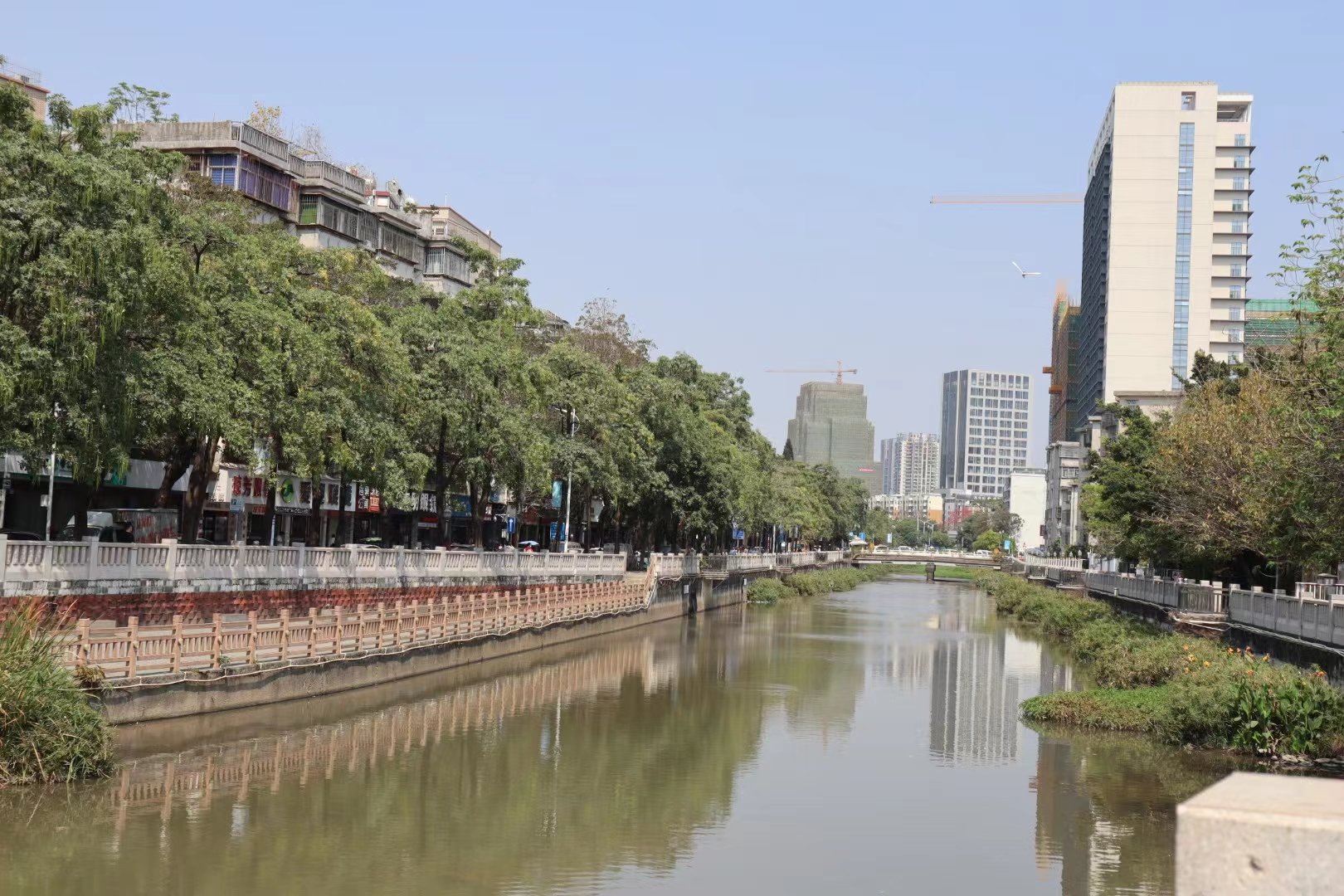 西乡河龙珠河段现状