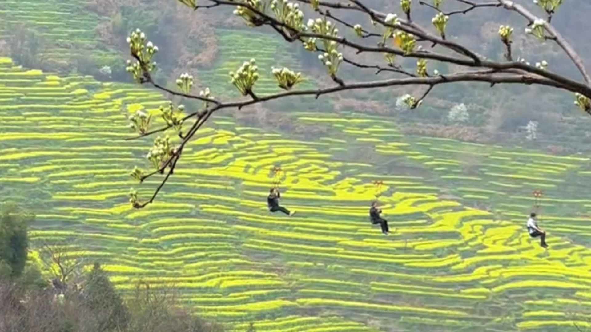 景区索道暂停3名游客悬挂半空：因风太大减速，没有安全问题