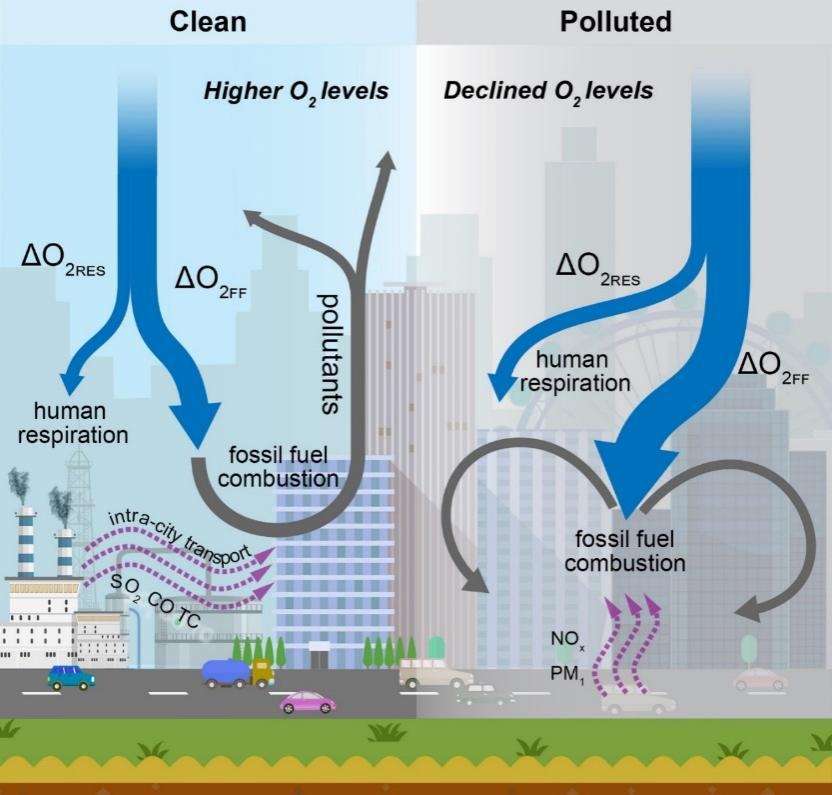 “城市呼吸”机制图