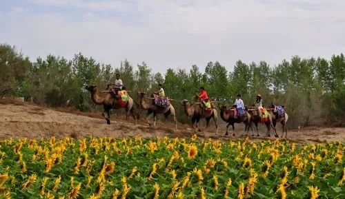 在公园沐浴春风与阳光:散步、踏青、露营……