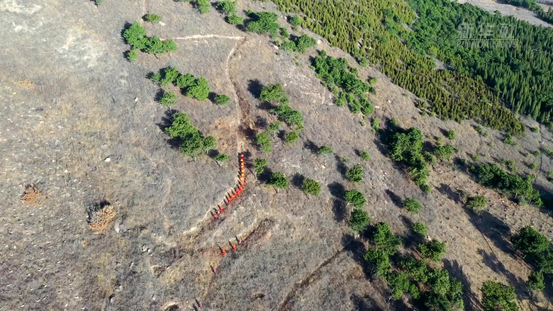 河北遵化：构筑森林“防火墙”