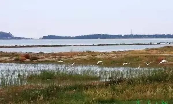 在公园沐浴春风与阳光:散步、踏青、露营……