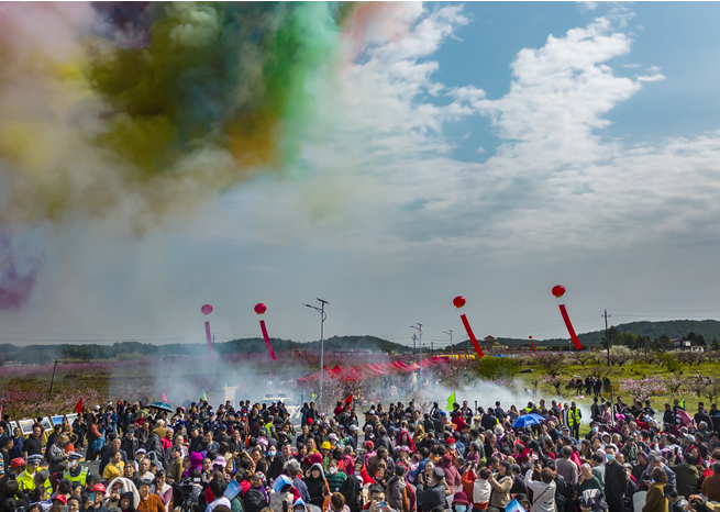 九江永修县：万亩桃花惹人醉 桃花经济富农家