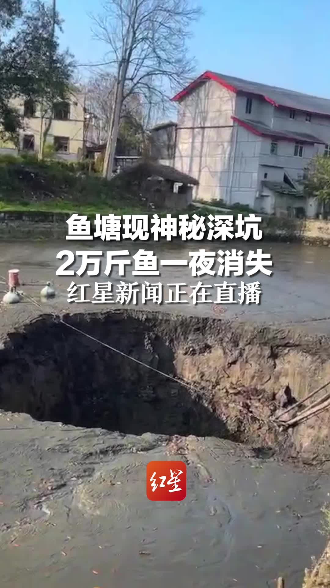 鱼塘现神秘深坑 2万斤鱼一夜消失，红星新闻正在直播