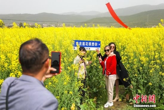 游客在油菜花海旁拍照。贺治斌 摄