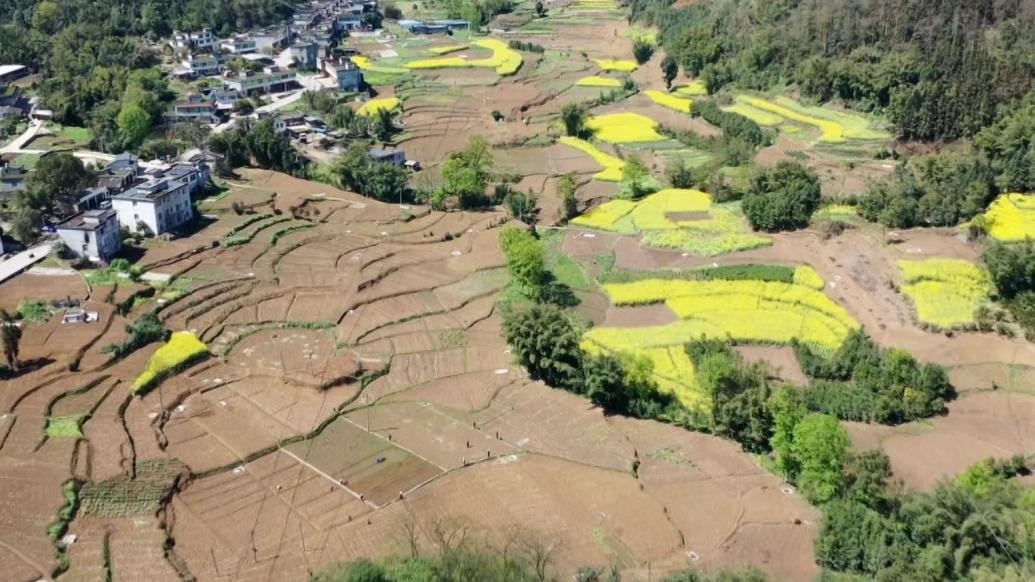 四川筠连：人勤春来早