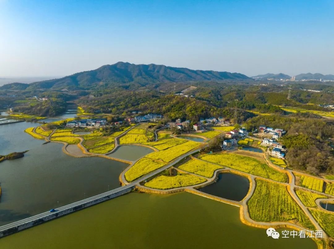 地点：江西湖口 李学华 摄