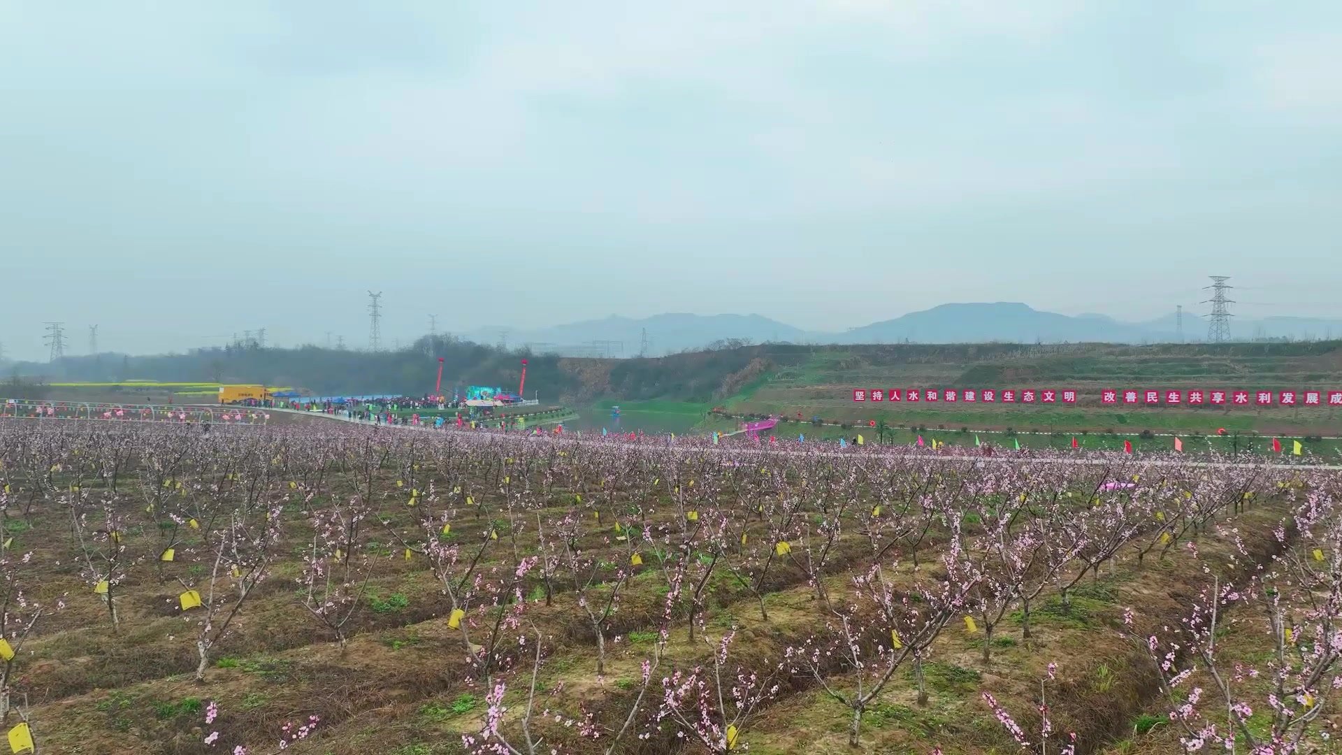 江西湖口：雨后桃花分外娇