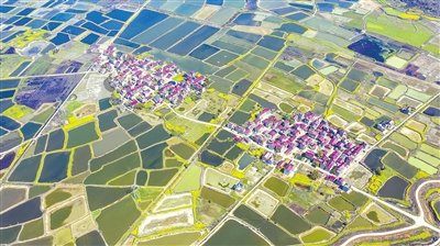 俯瞰樟树市洋湖乡双溪村（图）