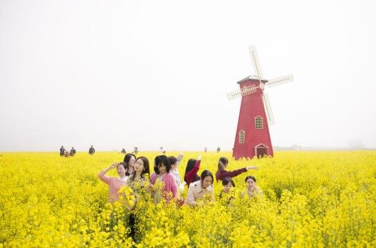 南昌县银三角：油菜花开赚足人气 乡村旅游盘活经济