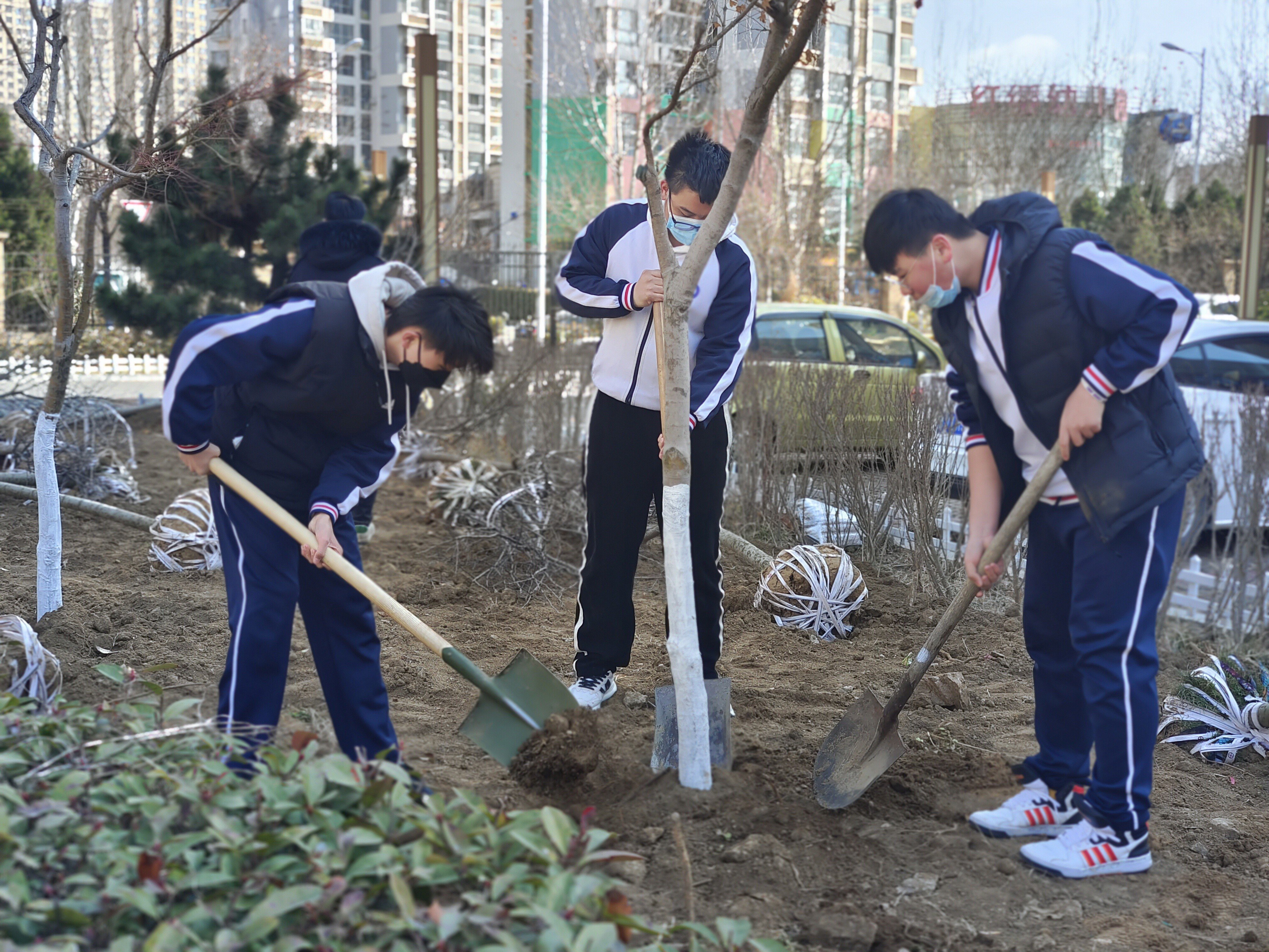 凤凰岛初中的学子们一起播种春天