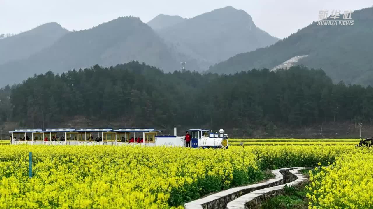 贵州贵定：“农旅融合”助力乡村振兴