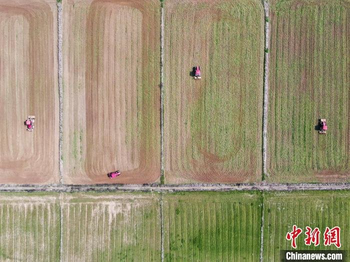 图为航拍农机在农田里来回翻耕土地，留下了一道道“春日印记”。　刘力鑫 摄