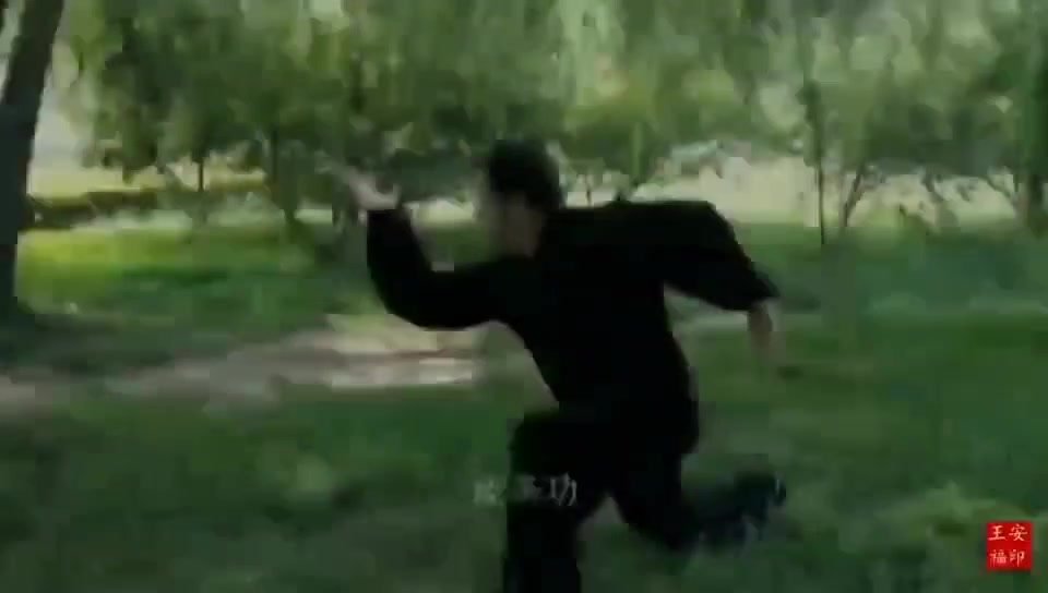 【视频】通备隐士王福安（二）