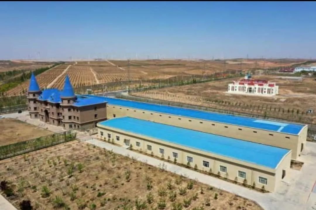 两个超亿元村出现 葡萄酒产业链上游 信心倍增！