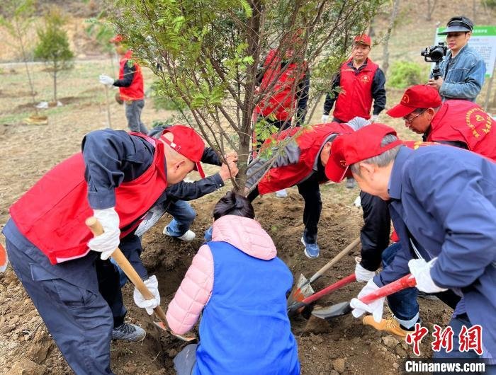 三峡库区珍稀植物被移栽到湖北大老岭国家级自然保护区。　郭晓莹 摄