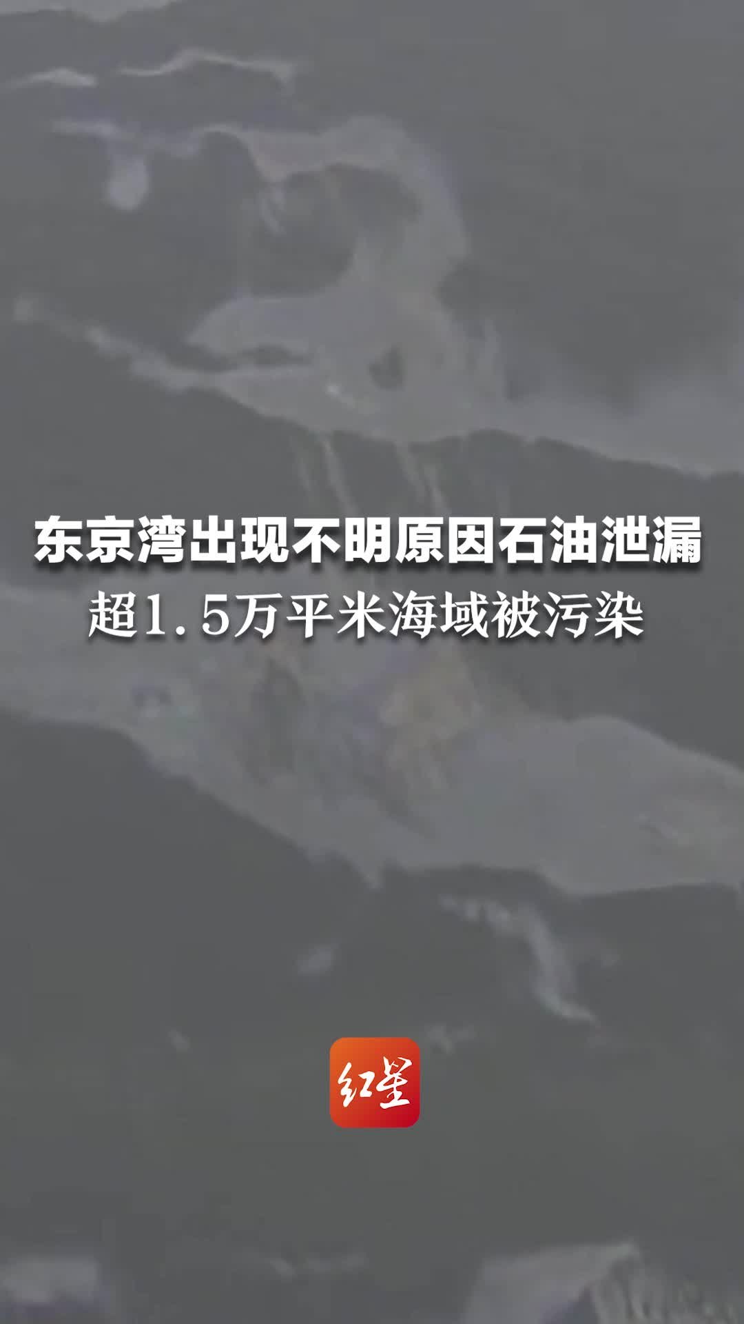 东京湾出现不明原因石油泄漏 超1.5万平米海域被污染