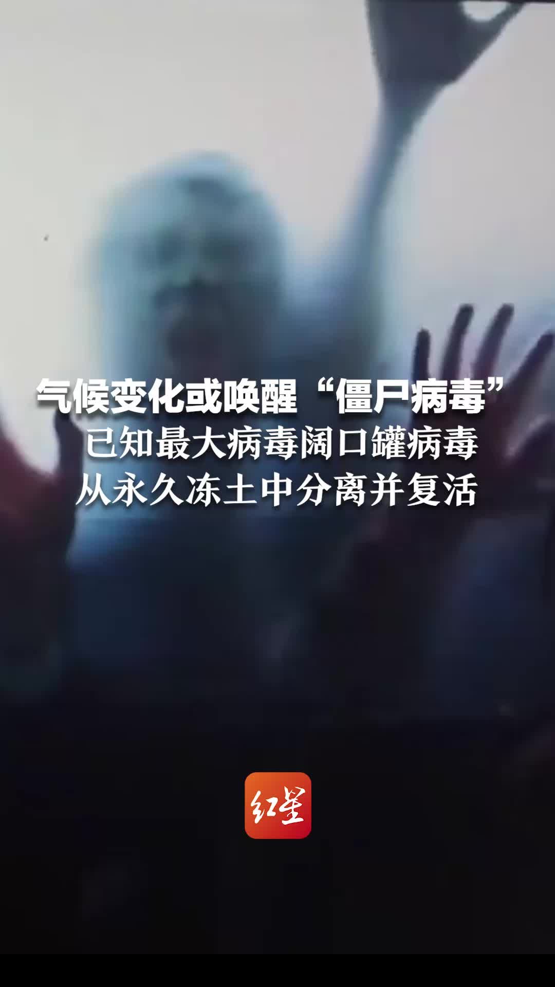 气候变化或唤醒“僵尸病毒”已知最大病毒阔口罐病毒 从永久冻土中分离并复活