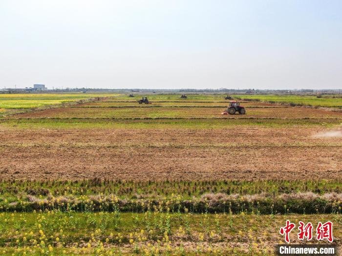 图为航拍数台农机在农田里来回翻耕土地。　刘力鑫 摄