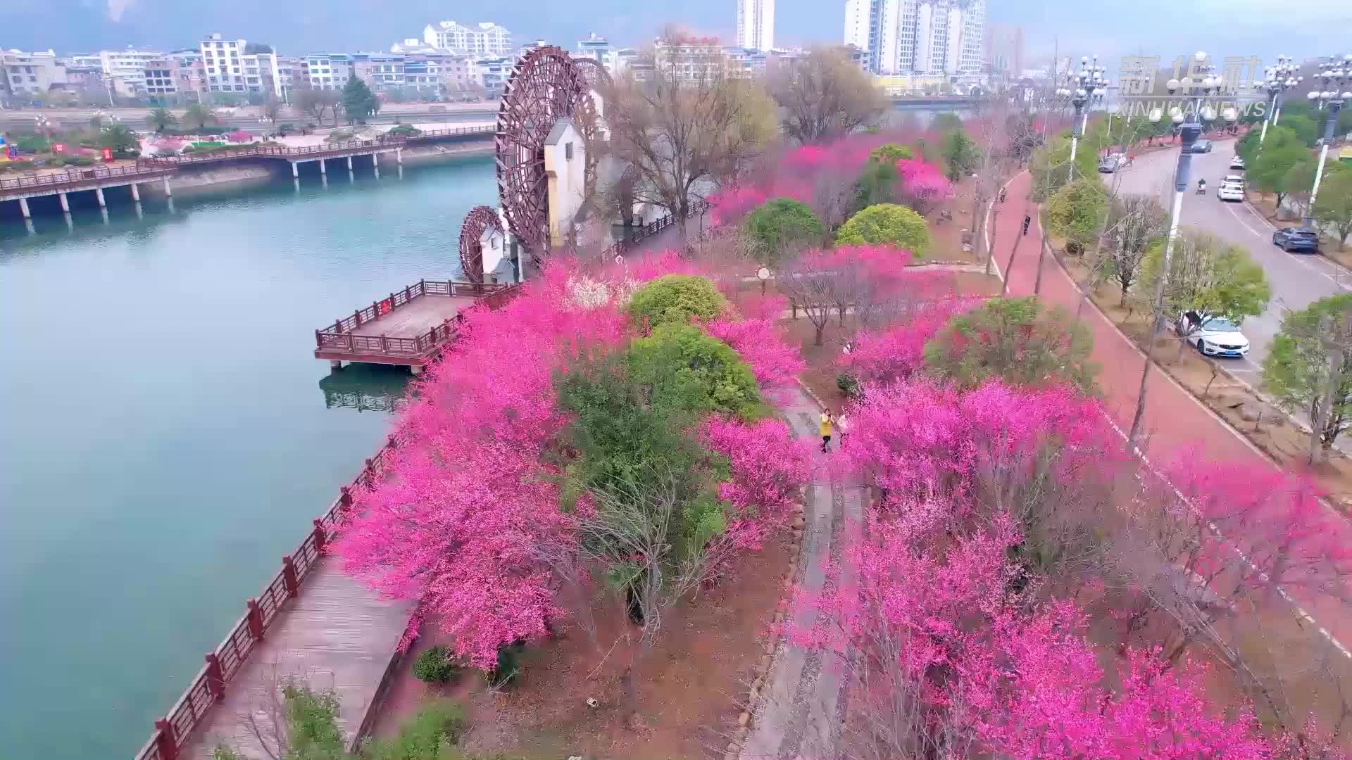 千城胜景｜贵州施秉：舞阳河畔春意浓