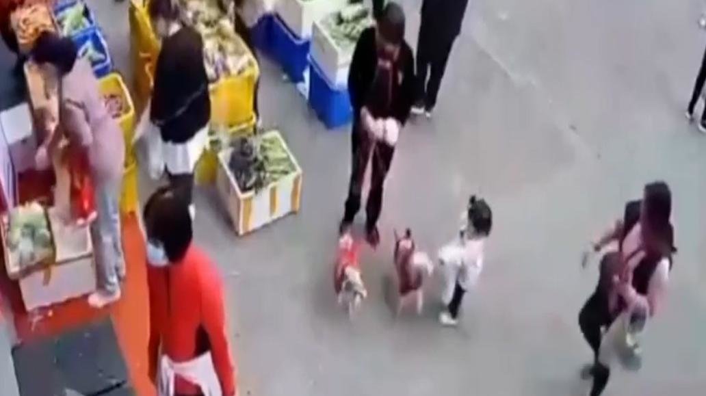 两岁女童试图摸狗被咬伤，狗主人拒绝道歉赔偿