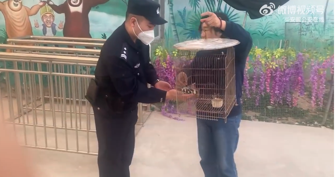 亳州热心市民悉心呵护受伤鸟儿 民警相助转运“就医”