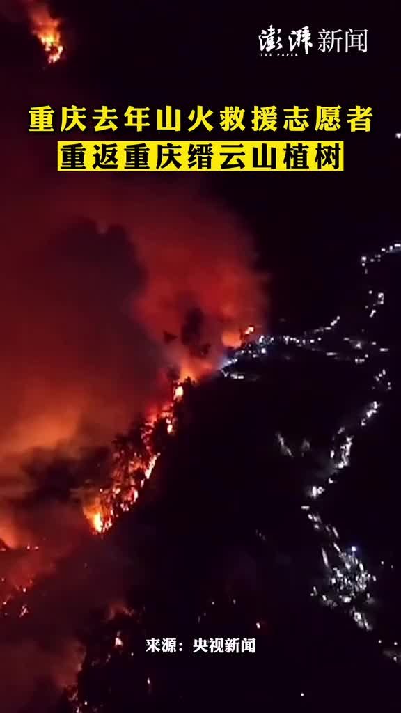 重庆去年山火救援志愿者重返缙云山植树