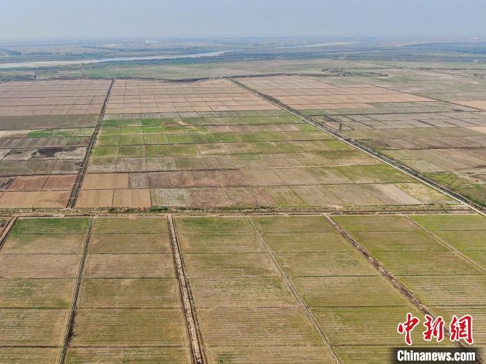 航拍鄱阳湖平原春耕美景大地宛若“调色板”