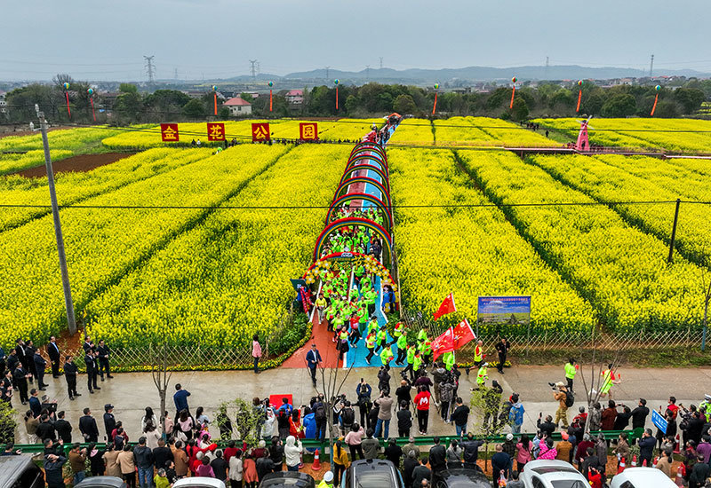 进贤县首届金花节开幕凤凰网江西_凤凰网