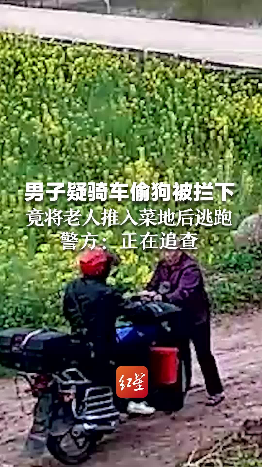 男子疑骑车偷狗被拦下 竟将老人推入菜地逃跑 警方：正在追查