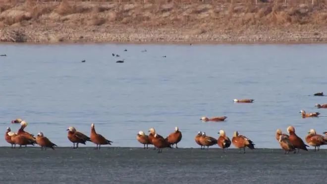在公园沐浴春风与阳光:散步、踏青、露营……