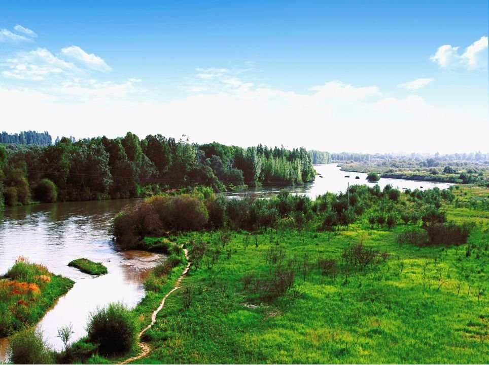 在公园沐浴春风与阳光:散步、踏青、露营……