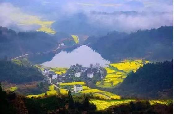 祁门县箬坑乡金山村降上组(图源:黄山市文化和旅游局)