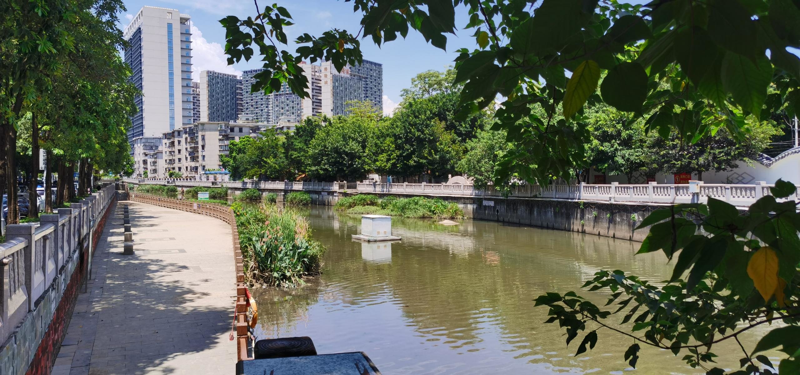 西乡河龙珠河段现状