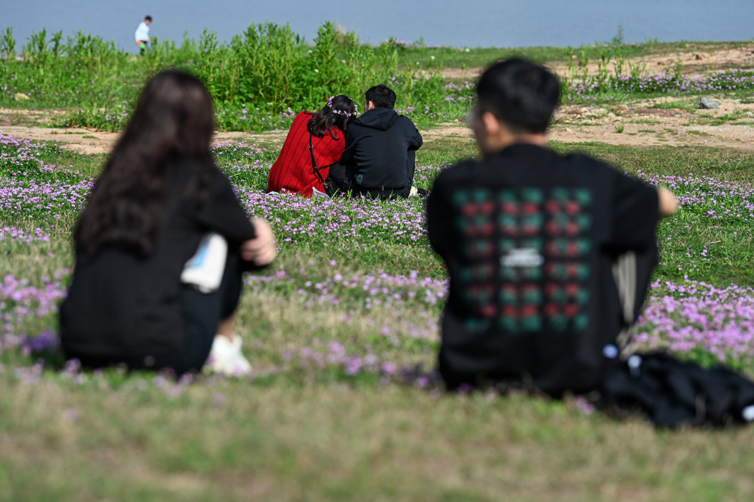 2021年3月28日，江西南昌，游客在赣江市民公园草地上休憩。澎湃新闻记者 朱伟辉 资料图