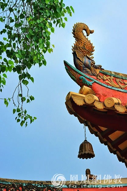 巡礼盛夏光孝:广州光孝寺陈韶辉参选作品|“云游寺院”摄影展