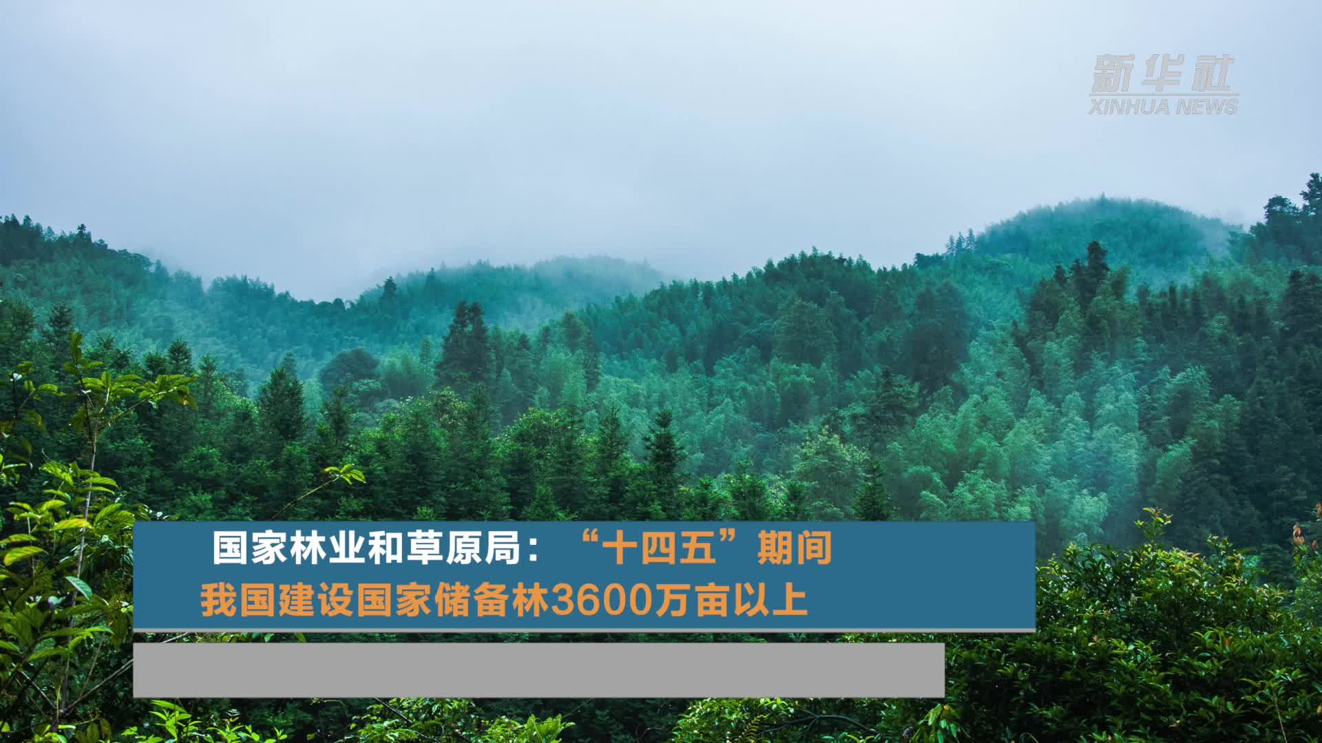 国家林业和草原局：“十四五”期间我国建设国家储备林3600万亩以上