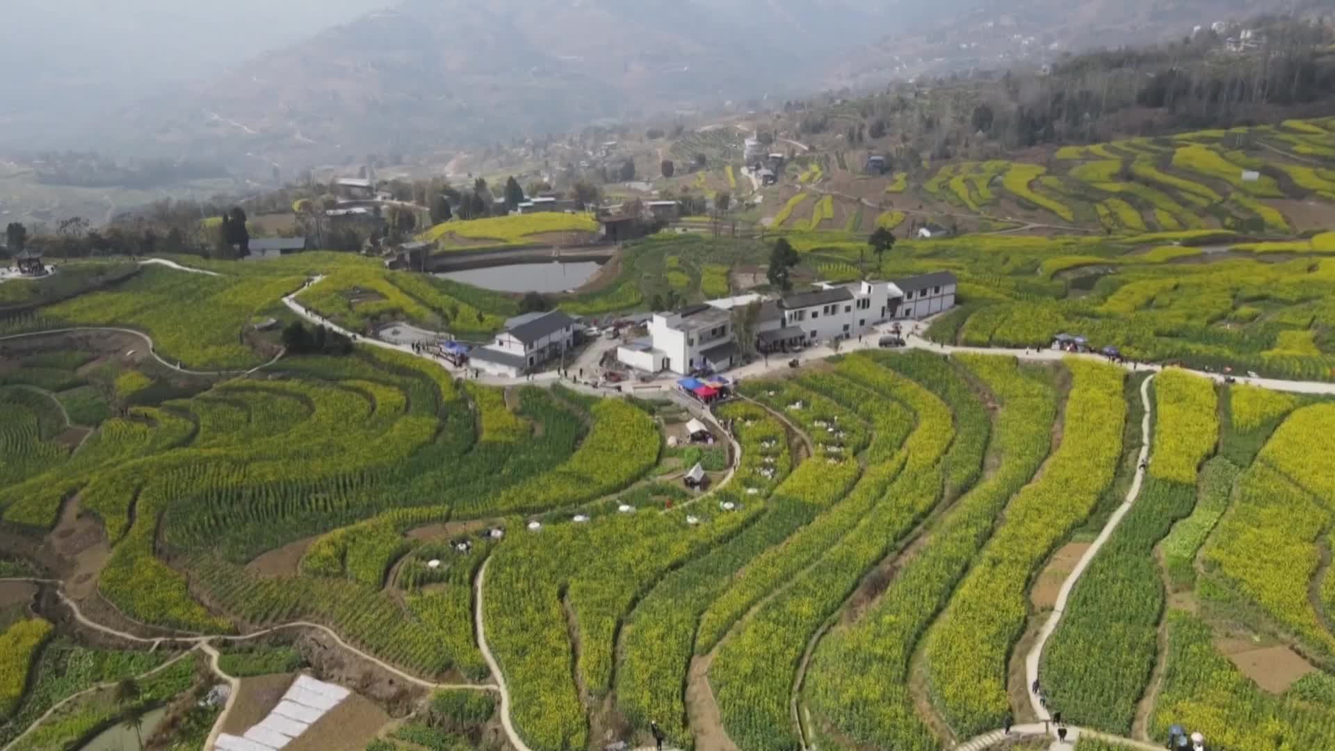 全球连线｜三峡库区发现1.8亿年前恐龙时代生物化石