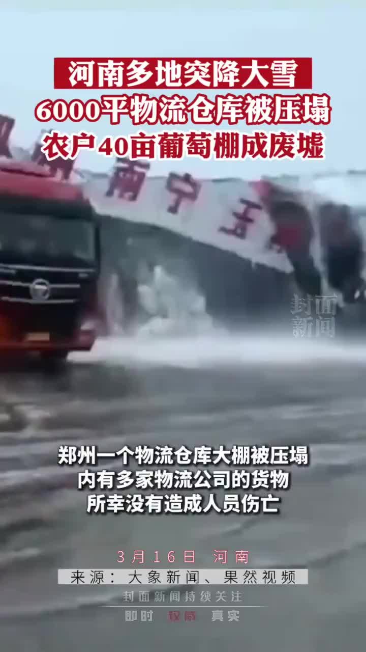 河南多地突降大雪：郑州多个仓库倒塌，南阳农户葡萄棚成“废墟”