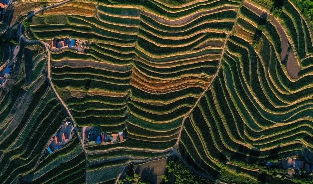 新添堡回族乡沙家湾村梯田 摄影|每日甘肃网