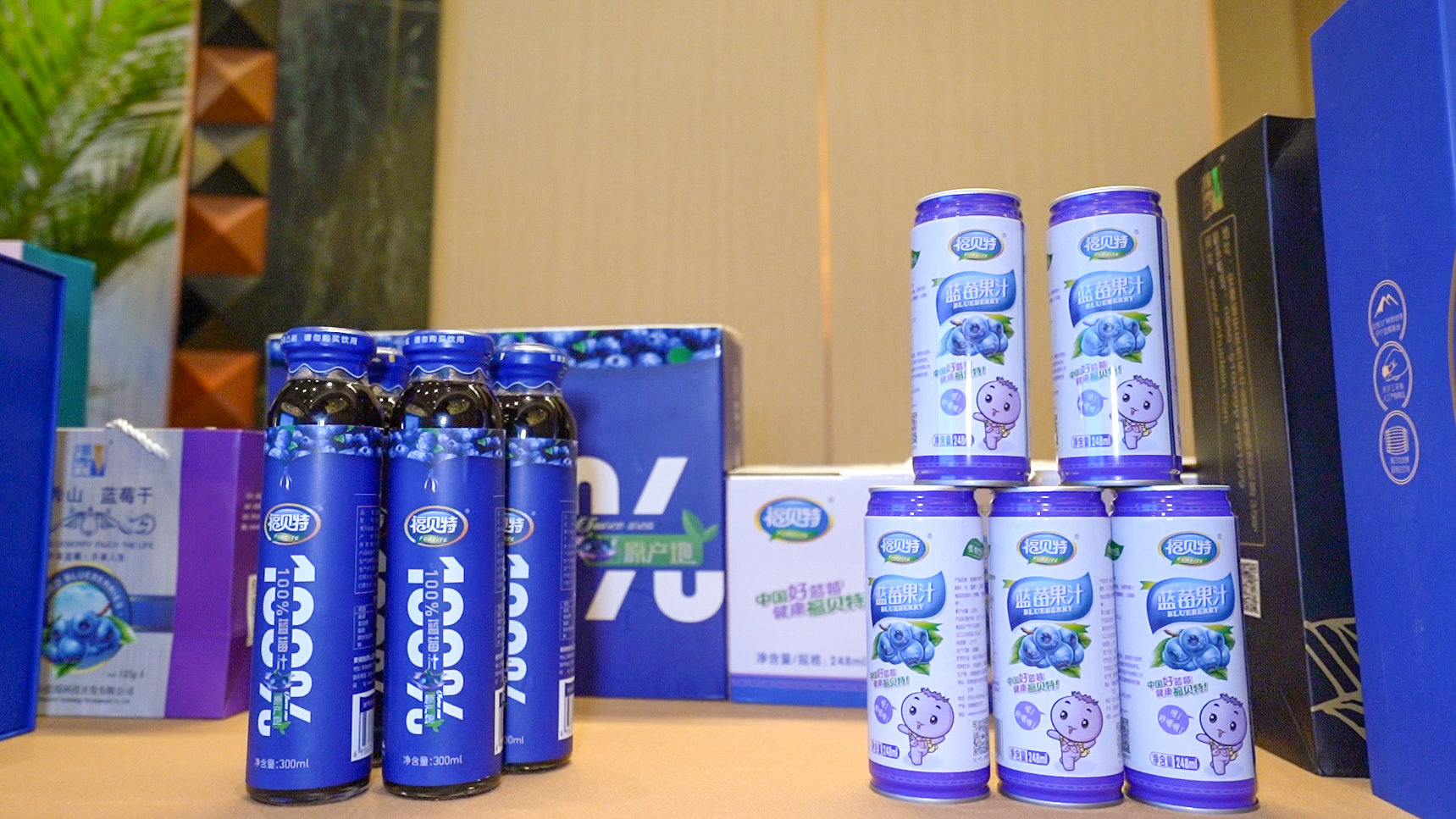 安徽怀宁：以“节”为窗口 享蓝莓“盛宴”