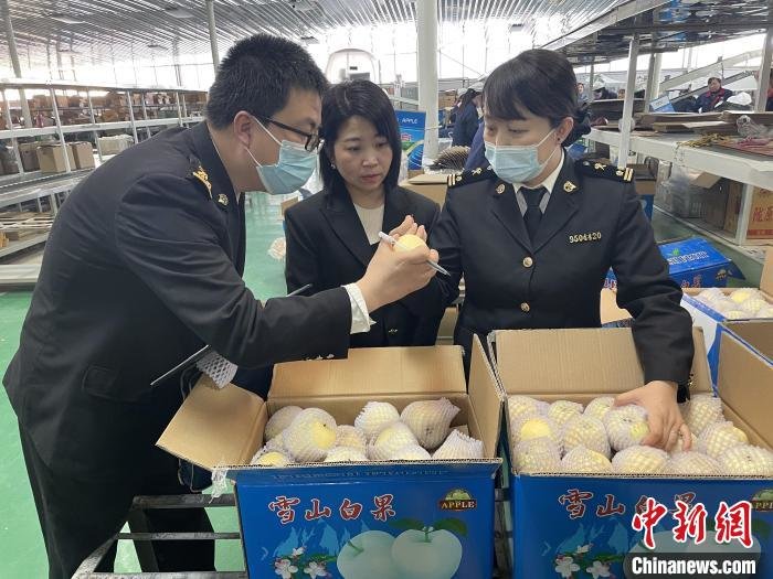 甘肃苹果抢“鲜”续拓海外市场：出口越南订单排至5月底
